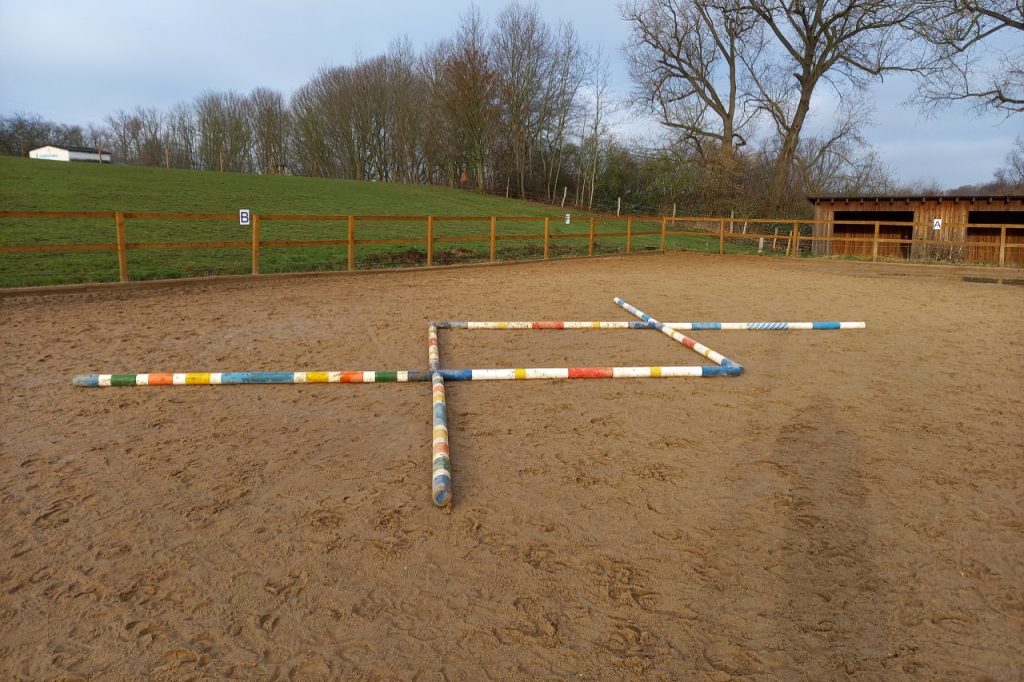 Welche Springprüfungen gibt es und was bedeuten sie?