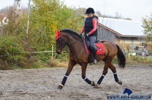 RIDERS CHOICE Reitleggings mit Silikonvollbesatz und Handytasche für