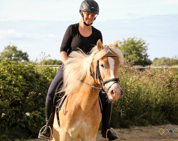 Claudia Scheler Ausbildungs & Reitsportmagazin